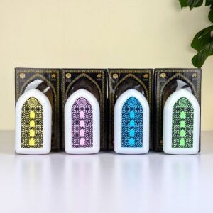 Exclusive plug in Quran Illuminated Quran and Hadith Speaker